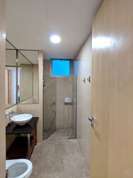 Cairnhill Crest (D9), Condominium #569286681